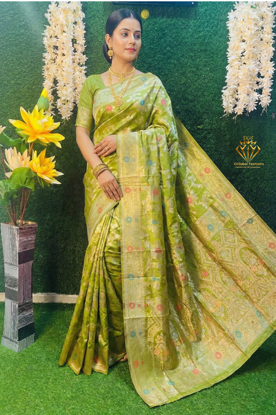 Tilfi Organza Banarsi Saree
