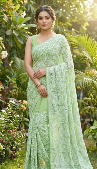 Lucknowi Chikankari Full Jaal Georgette Saree