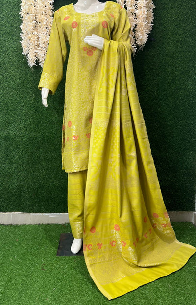 Pashmina Banarasi Weaving Suit Set