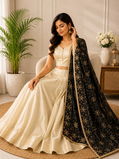 Tissue Shimmer Lehenga Set with Multicolor Phulkari Dupatta