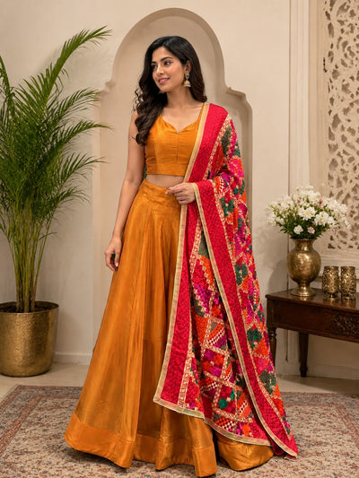 Tissue Shimmer Lehenga Set with Multicolor Phulkari Dupatta