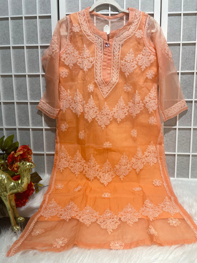 Desi lucknowi chikankari organza kurta