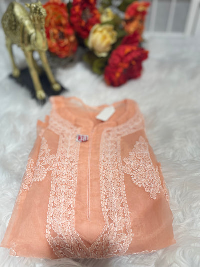 Desi lucknowi chikankari organza kurta
