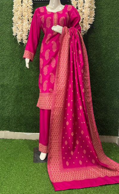 Pashmina Banarasi Weaving Suit Set