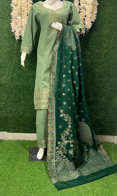 Pashmina Banarasi Weaving Suit Set