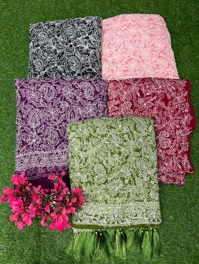 Lucknowi Chikankari Full Jaal Hand Embroidered Georgette Dupatta