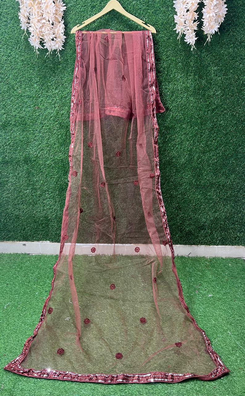 Net Dupatta With Embroidery Border