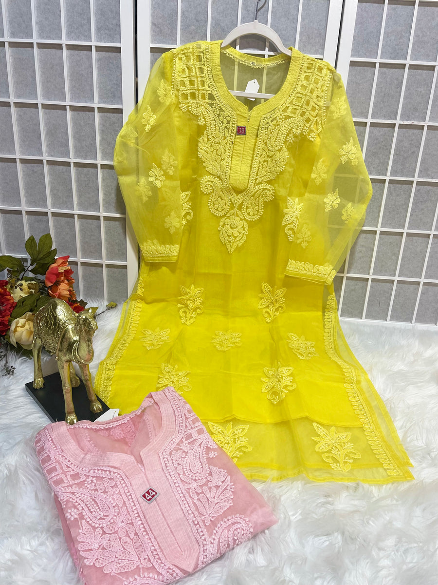 Noor lucknowi chikankari organza kurta